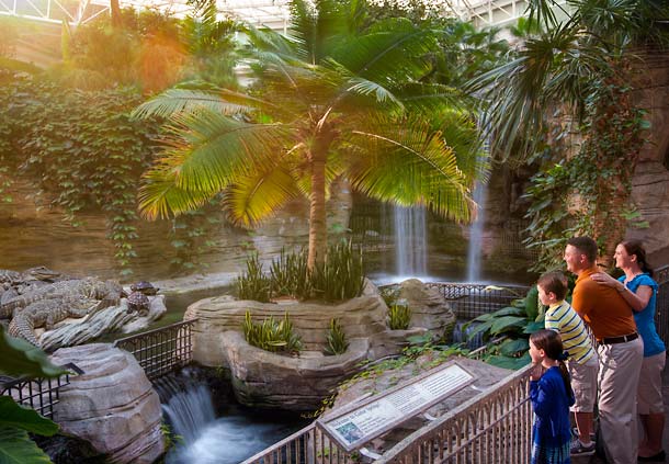 gaylord-palms-waterfall-jpg.52764