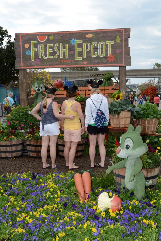 photopass_visiting_epcot_7974274851-jpeg.200317