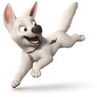 Bolt