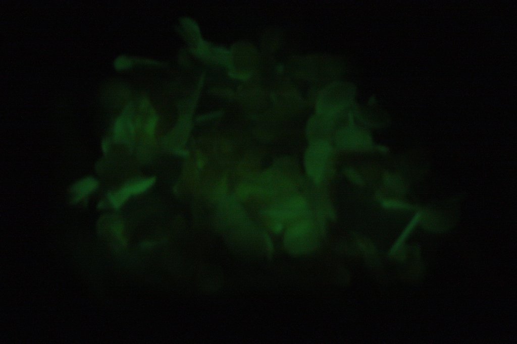 001.JPG