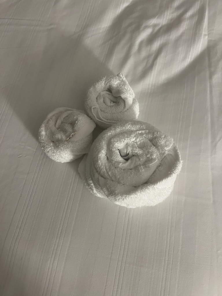 123A7C30-80F5-402F-9E0D-ABB196E7EFF5_1_105_c.jpeg