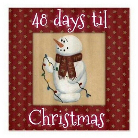 139566-48-Days-Til-Christmas(1).jpg