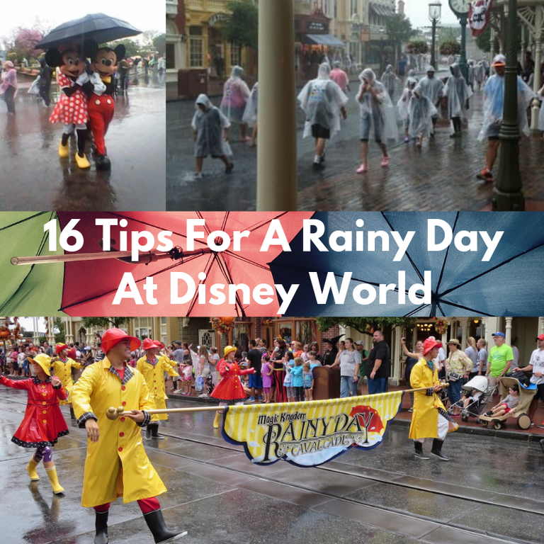 16-Tips-For-A-Rainy-Day-At-Disney-World.png