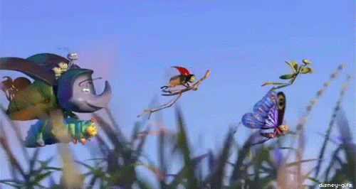 1739231360081.gif