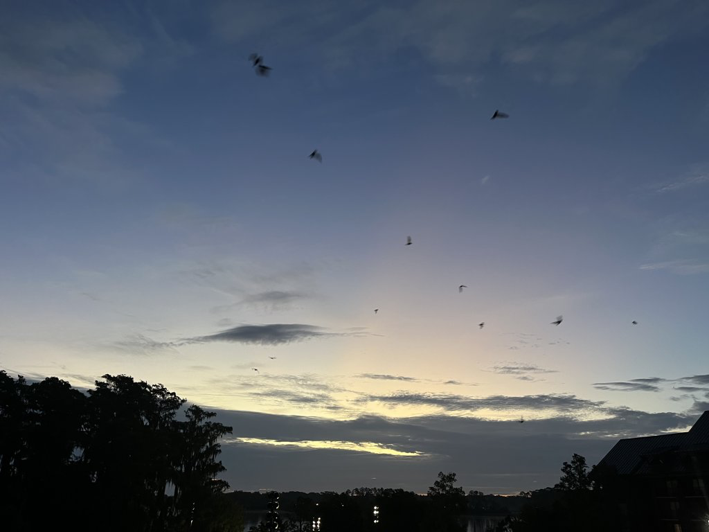 1750985250189.png