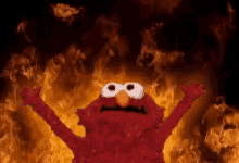 1755226362758.gif