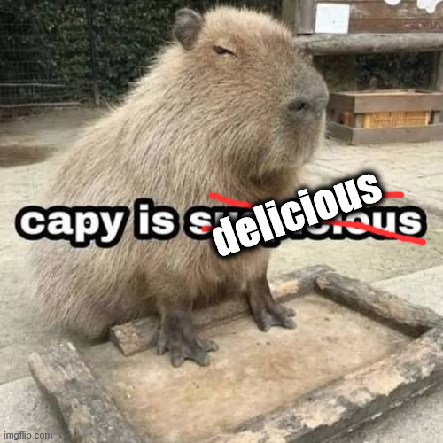 1759709625564.jpeg