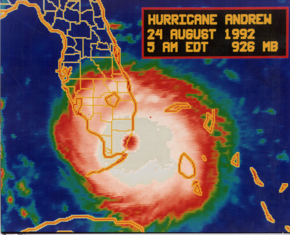 1992andy1.gif