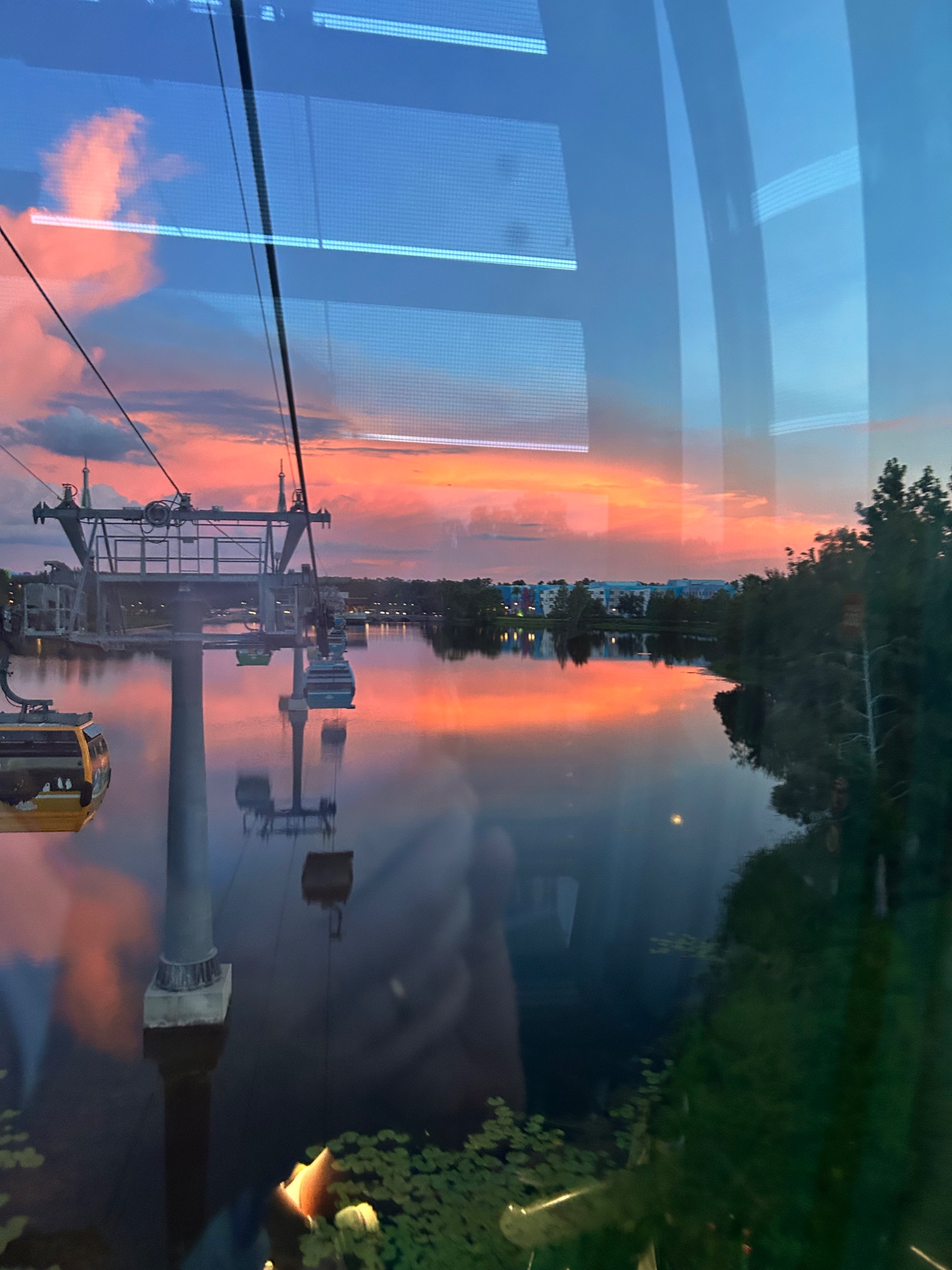 1DF56742-3EAA-40E2-B709-A525E449410E.jpeg