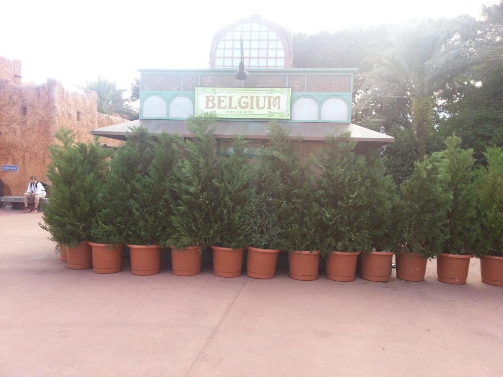 20141112_150328.jpg