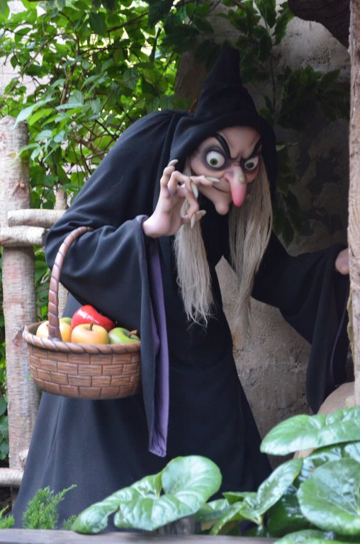 2015 WDW MK Witch.JPG