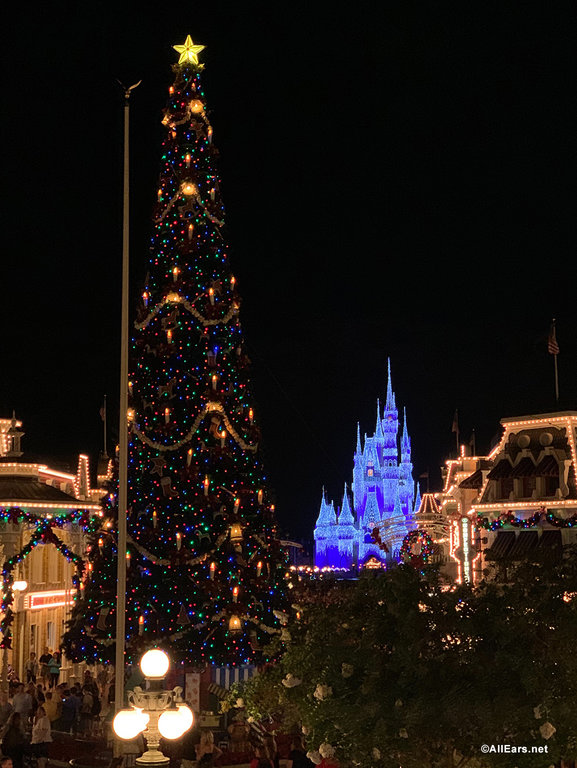 2019-Christmas-holiday-diney-world-magic-kingdom-main-street-town-square-christmas-tree-6.jpeg