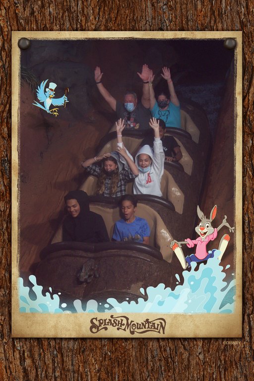 2022-02-12 - Magic Kingdom Park - Splash Mountain.jpeg