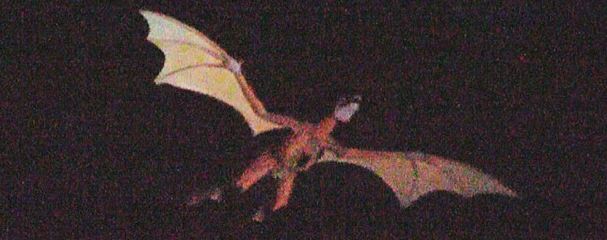 2022-06-10 12_15_31-magic kingdom dragon flying at DuckDuckGo.jpg