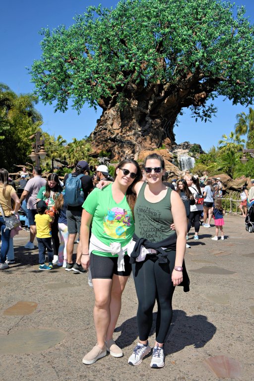 2024-02-26 - Disneys Animal Kingdom Park - The tree of life_5.jpeg