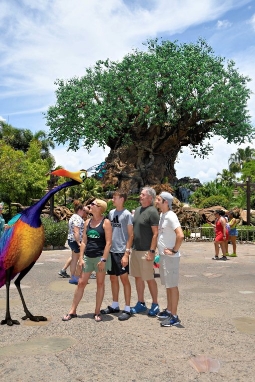 2024-06-16 - Disneys Animal Kingdom Park - The tree of life.jpeg