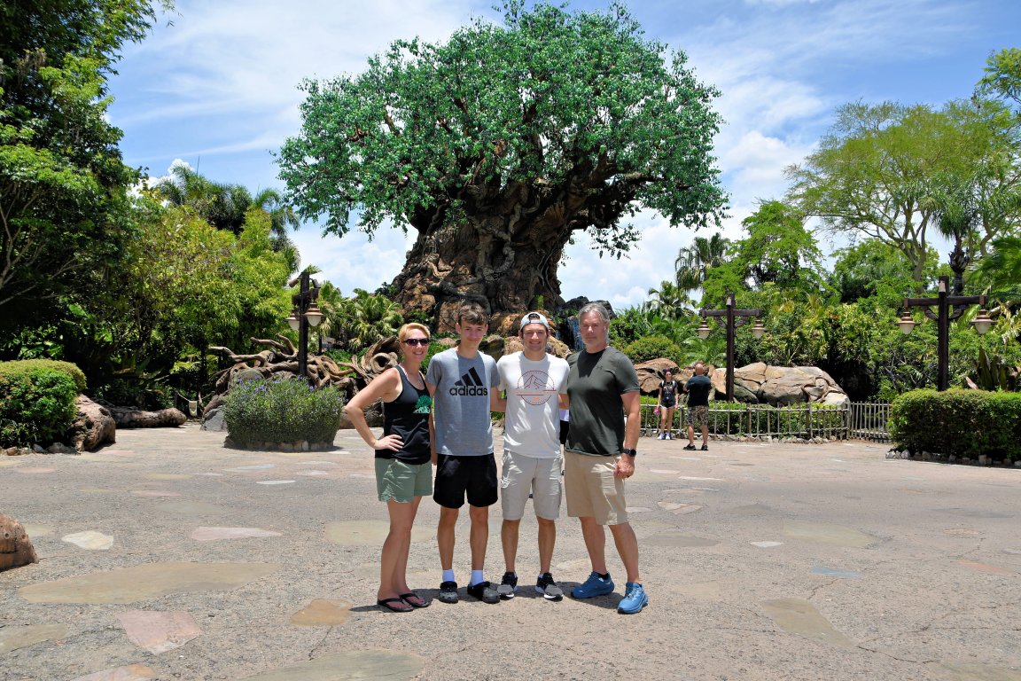 2024-06-16 - Disneys Animal Kingdom Park - The tree of life_7.jpeg