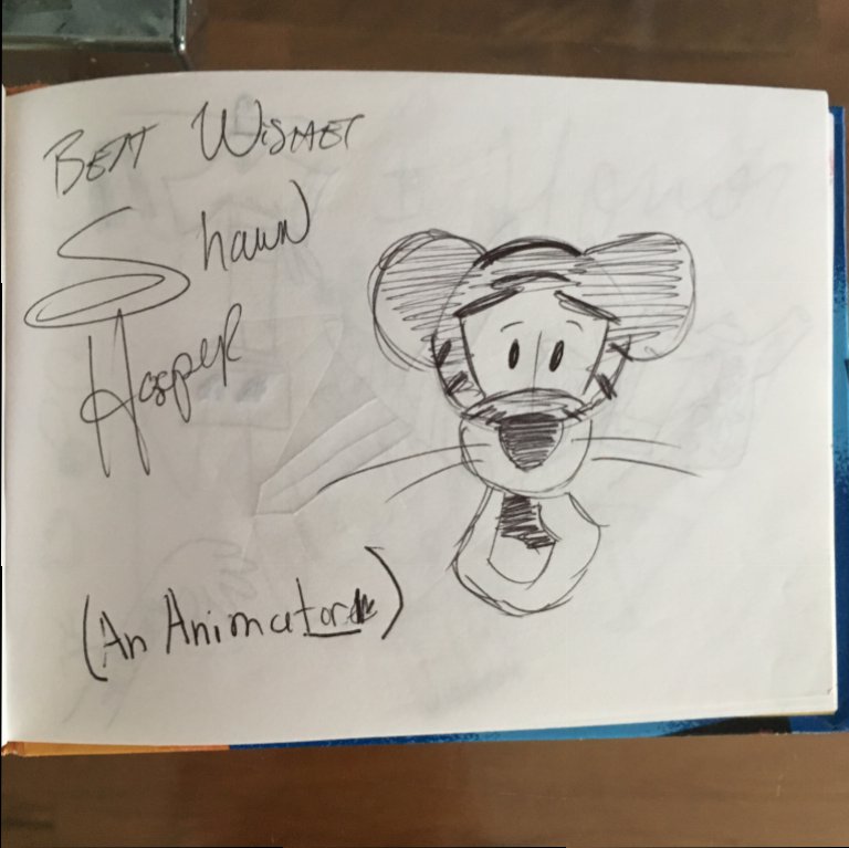 Home Made Autograph Book  WDWMAGIC - Unofficial Walt Disney World