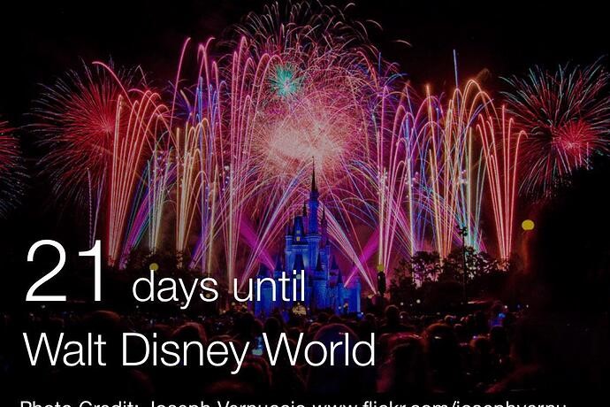 21 days until WDW.jpeg