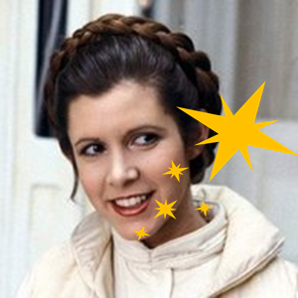 25 Princess Leia.png