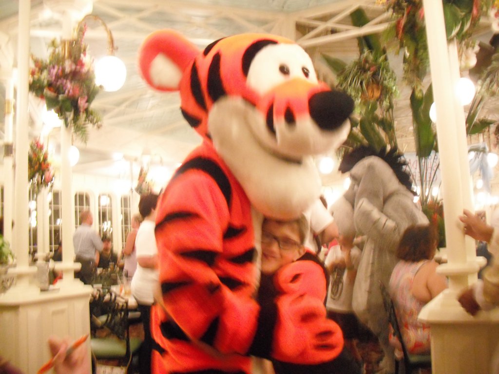 25 tigger.JPG