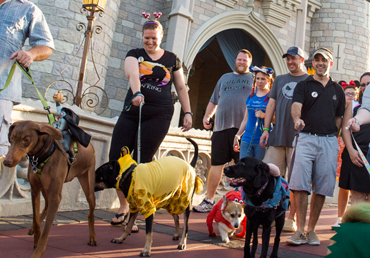 Service dog best sale at disney world