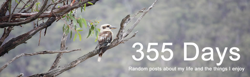 355 days header bird.jpg