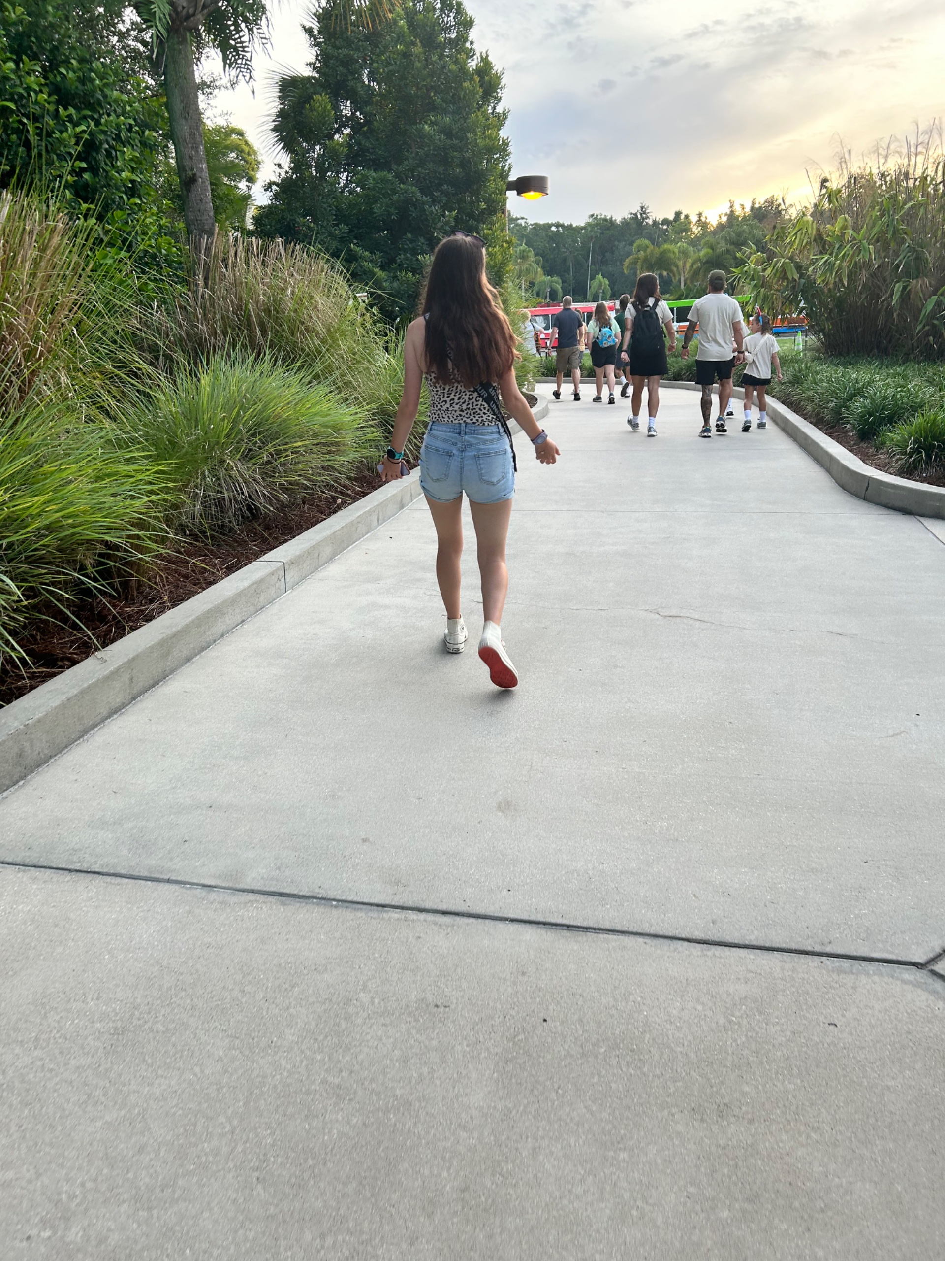 365646C1-7A29-4F5D-920B-37CD7FD40F4A.jpeg