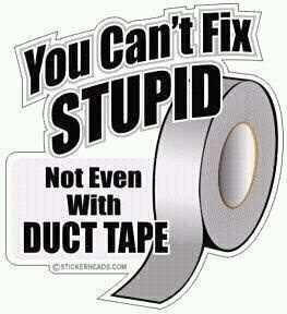 71dc882df8dd90f6685a0e5ea66caa6c--duck-tape-duck-duck.jpg