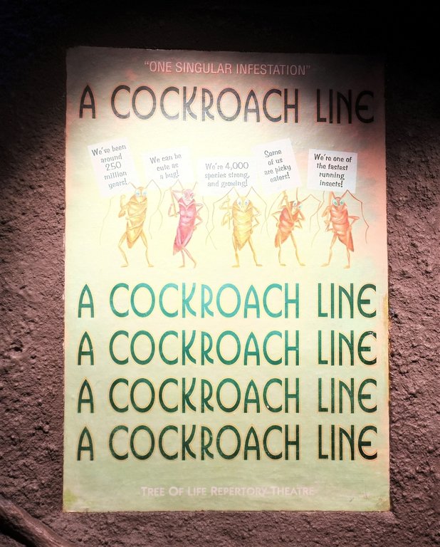A Cockroach Line words.jpg