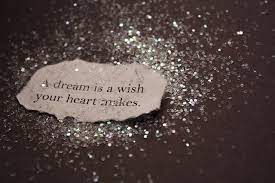 A dream is a wish .jpg