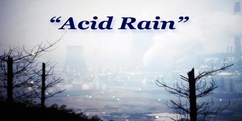 Acid-Rain.jpg