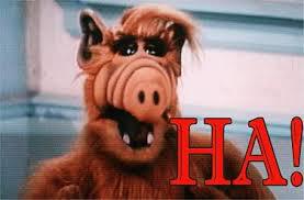 alf.jpeg