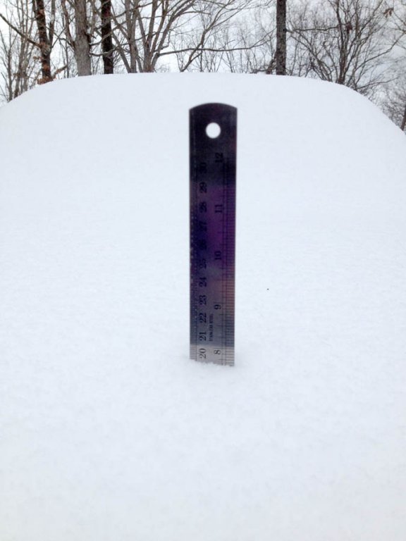 Almost 8 inches.jpg