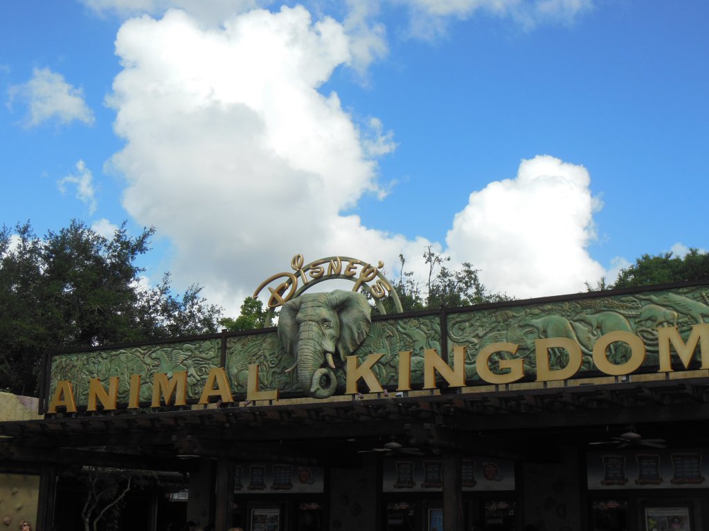 Animal Kingdom 007.JPG