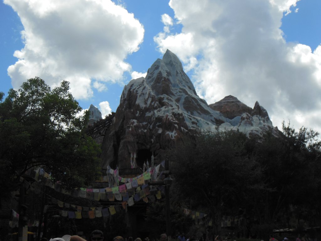 Animal Kingdom 018.JPG