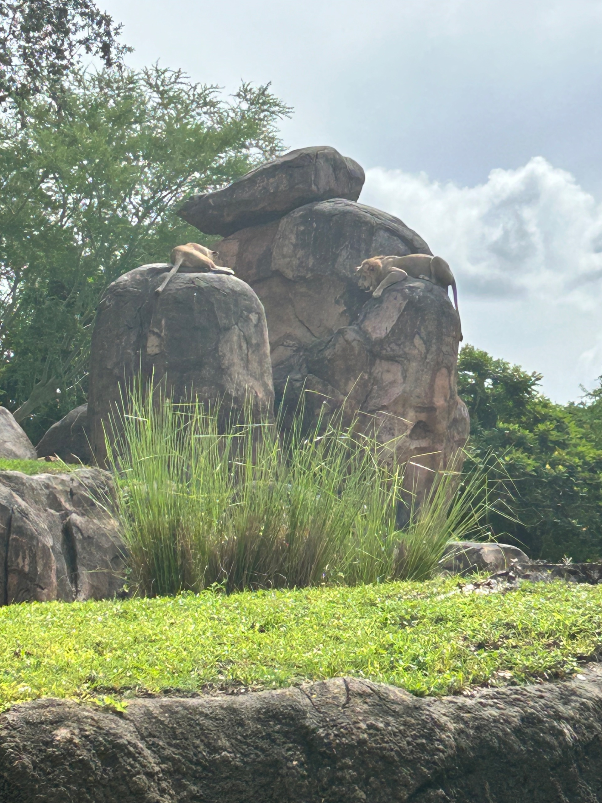 B6006896-72EA-4365-BA2F-434E01085396.jpeg