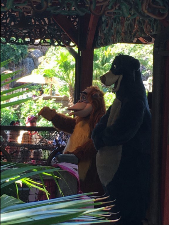 Baloo & King Louie 1.JPG