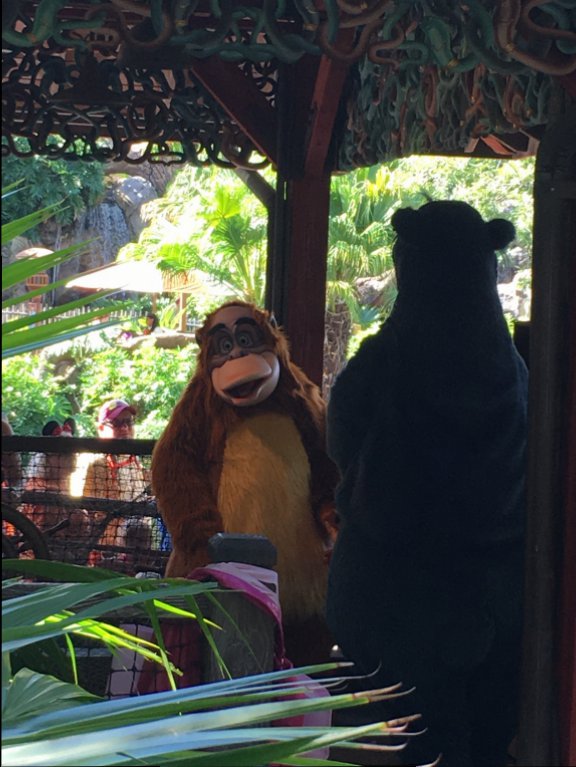 Baloo & King Louie 2.JPG