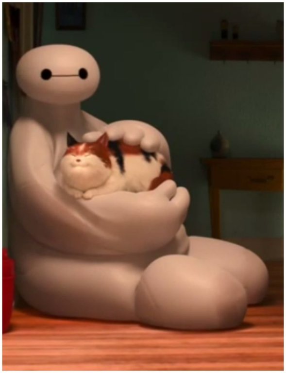 baymax-hairy-baby-big-hero-6-disney-cat.jpg