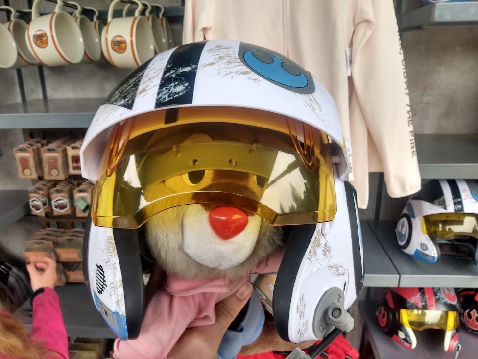 Brer Rabbit Helmet.jpg