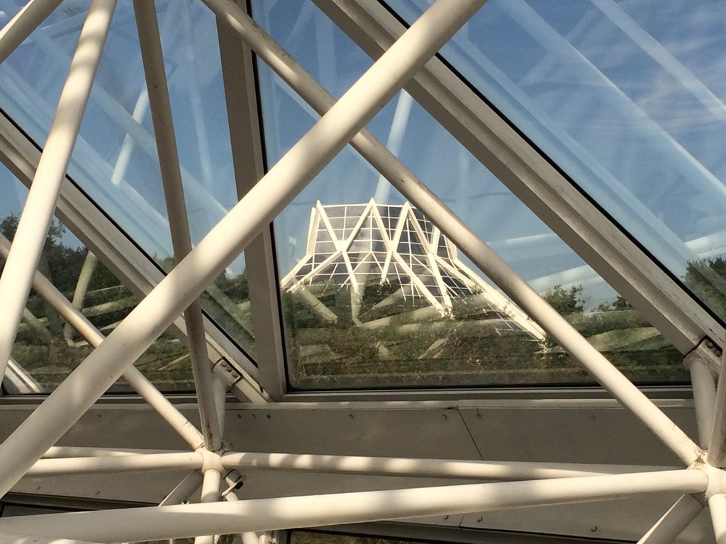 C871C703-BC2C-4262-9BC8-3217DB5CCDAC.jpeg