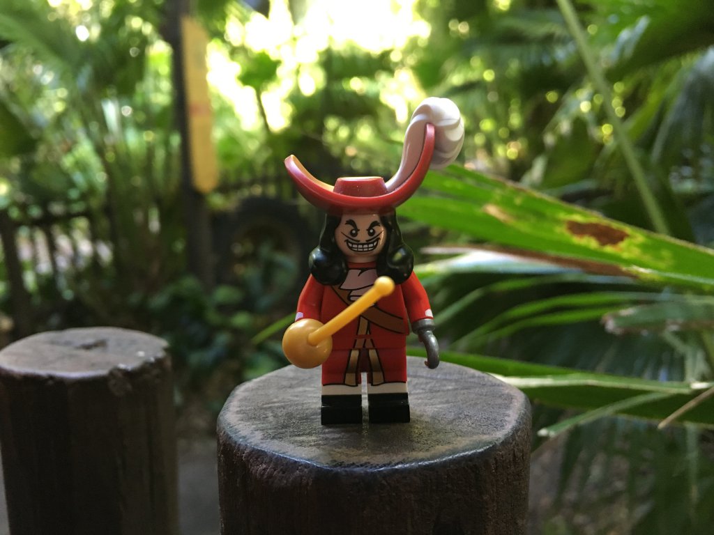 Captain Hook.JPG