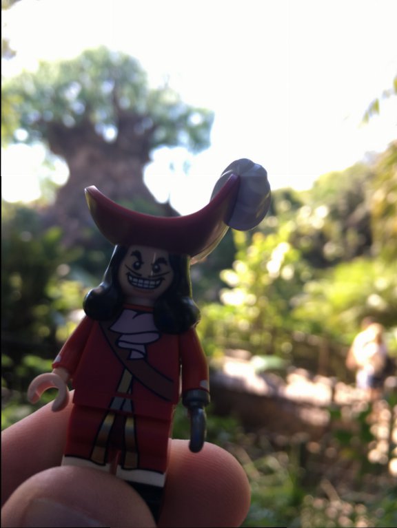 Captain Hook Tree of Life.JPG