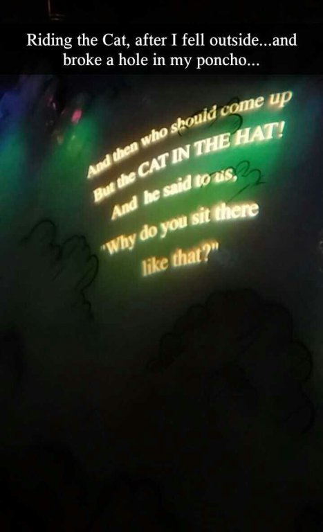 Cat in Hat.jpg