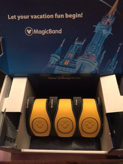 christmas2017magicbands.jpg