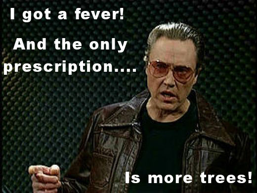 ChristopherWalken_MoreCowbell.jpg