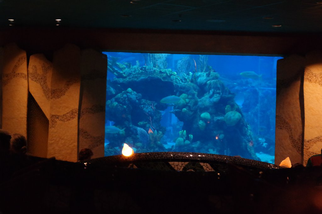 Coral Reef (2).JPG