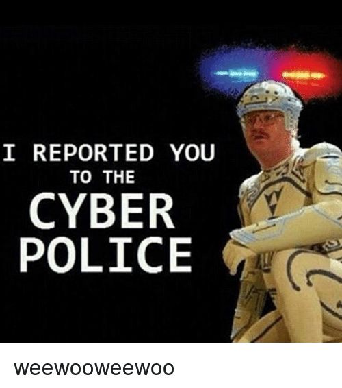 cyber police.jpg