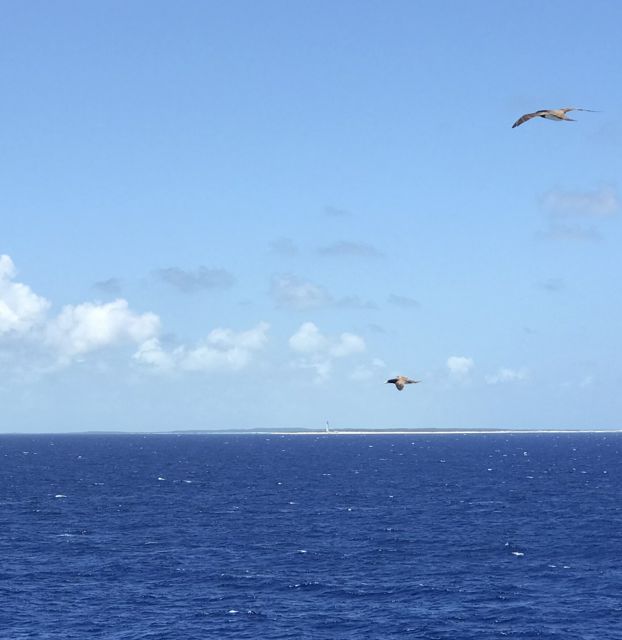 Day 6 ocean with island and birds.jpg